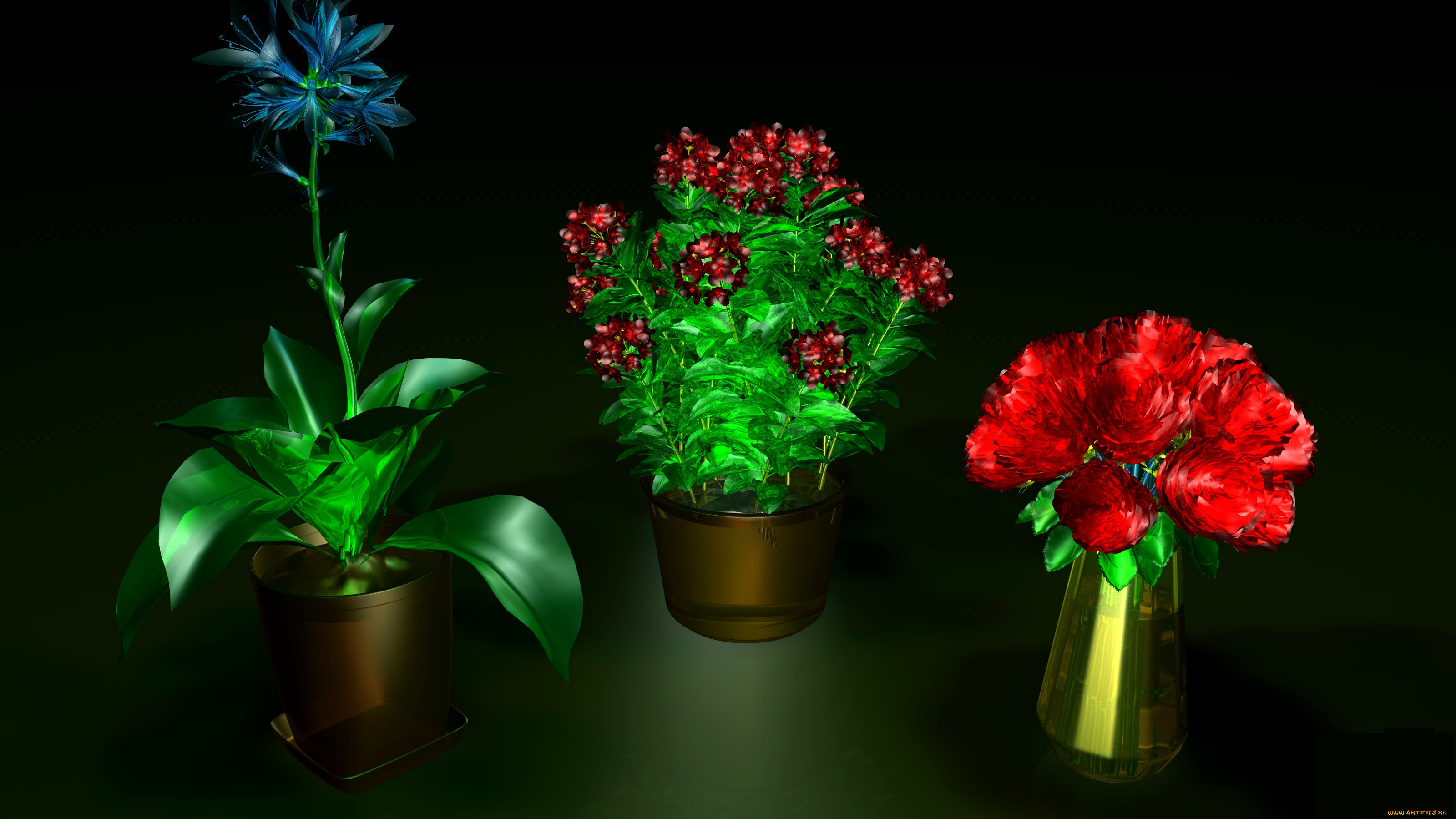 3 ,  , flowers, , 